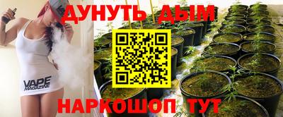 сатива Пенза