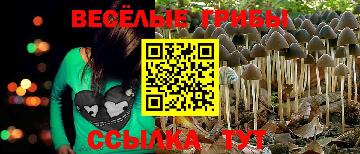 Галлюциногенные грибы прущие грибы  как найти закладки  Вход с VPN  Сунжа  Галлюциногенные грибы ЛСД 